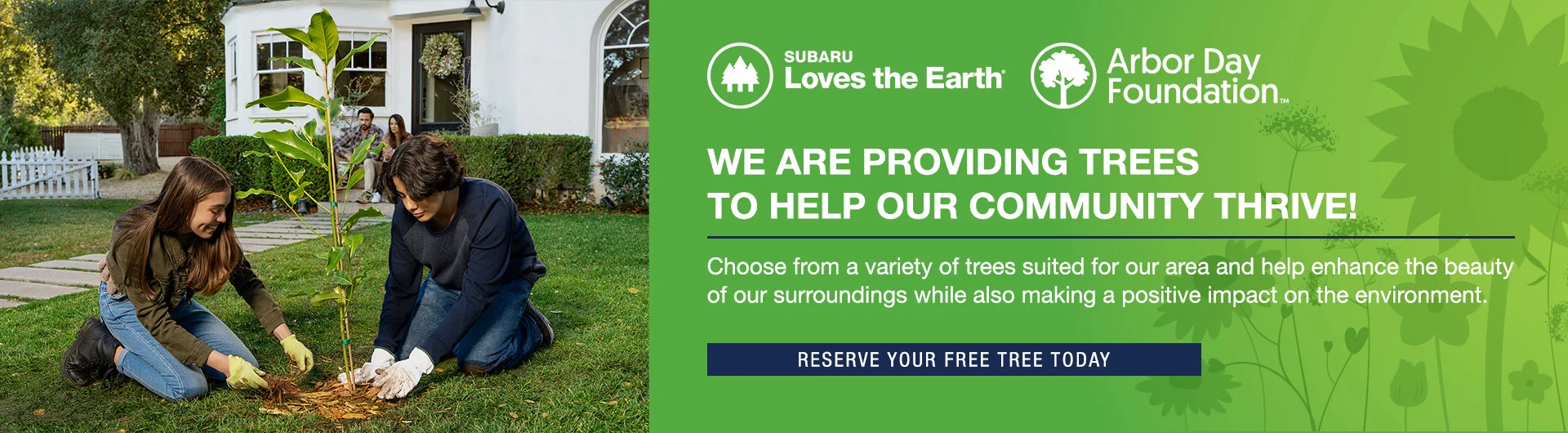 Reserve Your Free Tree with Zappone Subaru Norwich: A Green Initiative for a Healthier Tomorrow