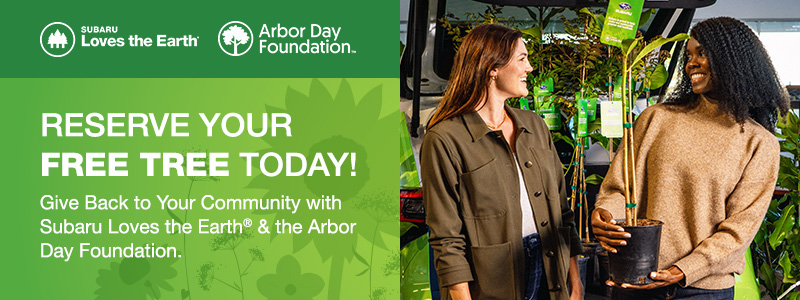 Reserve Your Tree Today at Zappone Subaru Norwich