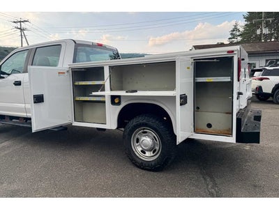 2019 Ford Super Duty F-250 Pickup XL