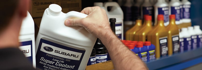 Picture of Subaru Super Coolant. | Zappone Subaru Norwich in Norwich NY