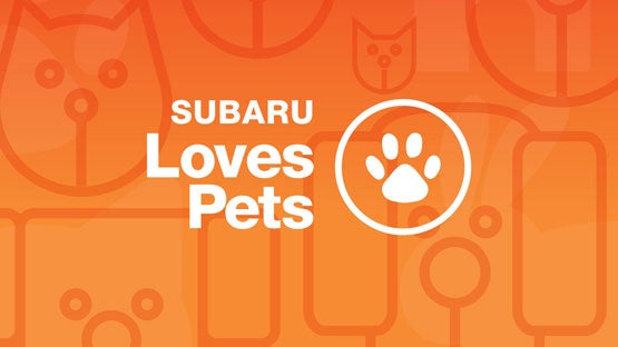 Zappone Subaru Norwich in Norwich NY