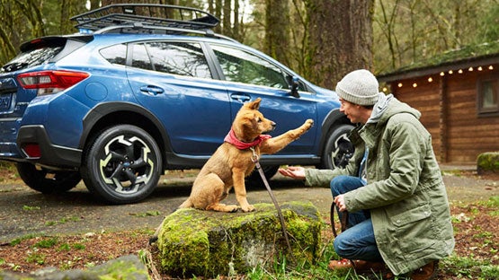 Zappone Subaru Norwich in Norwich NY