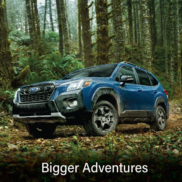 A blue Subaru outback wilderness with the words &ldquo;Bigger Adventures&ldquo;. | Zappone Subaru Norwich in Norwich NY